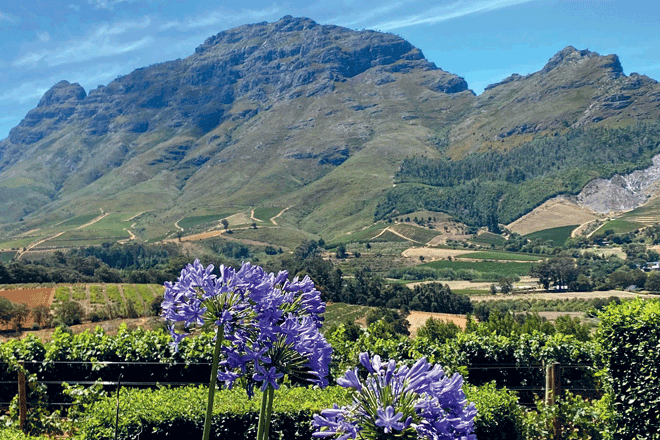 Zestawy miesiąca - Afryka na zimno (styczeń 2026)