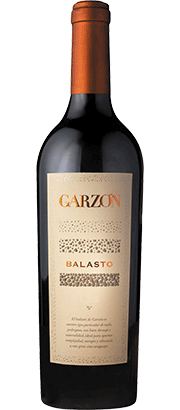 Garzón Balasto 2020